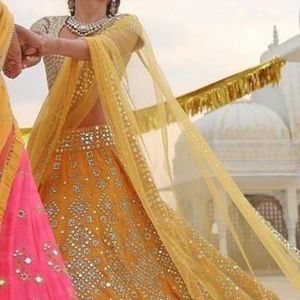 Meet your Posher, Baxter